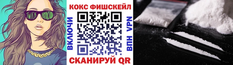 COCAIN Fish Scale  Купить закладки  Лесосибирск 