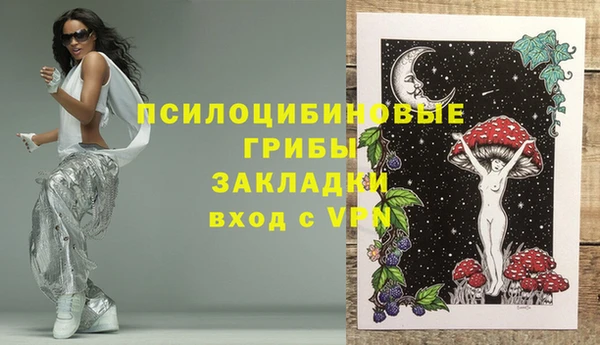 винт Бронницы