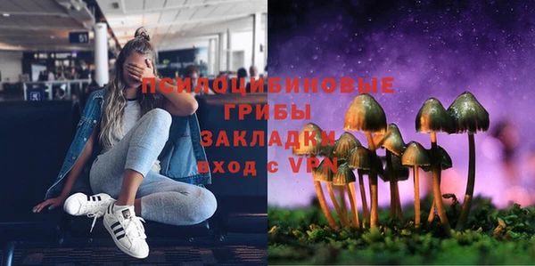 хмурый Богданович