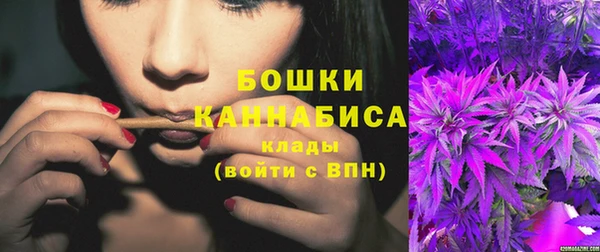 винт Бронницы